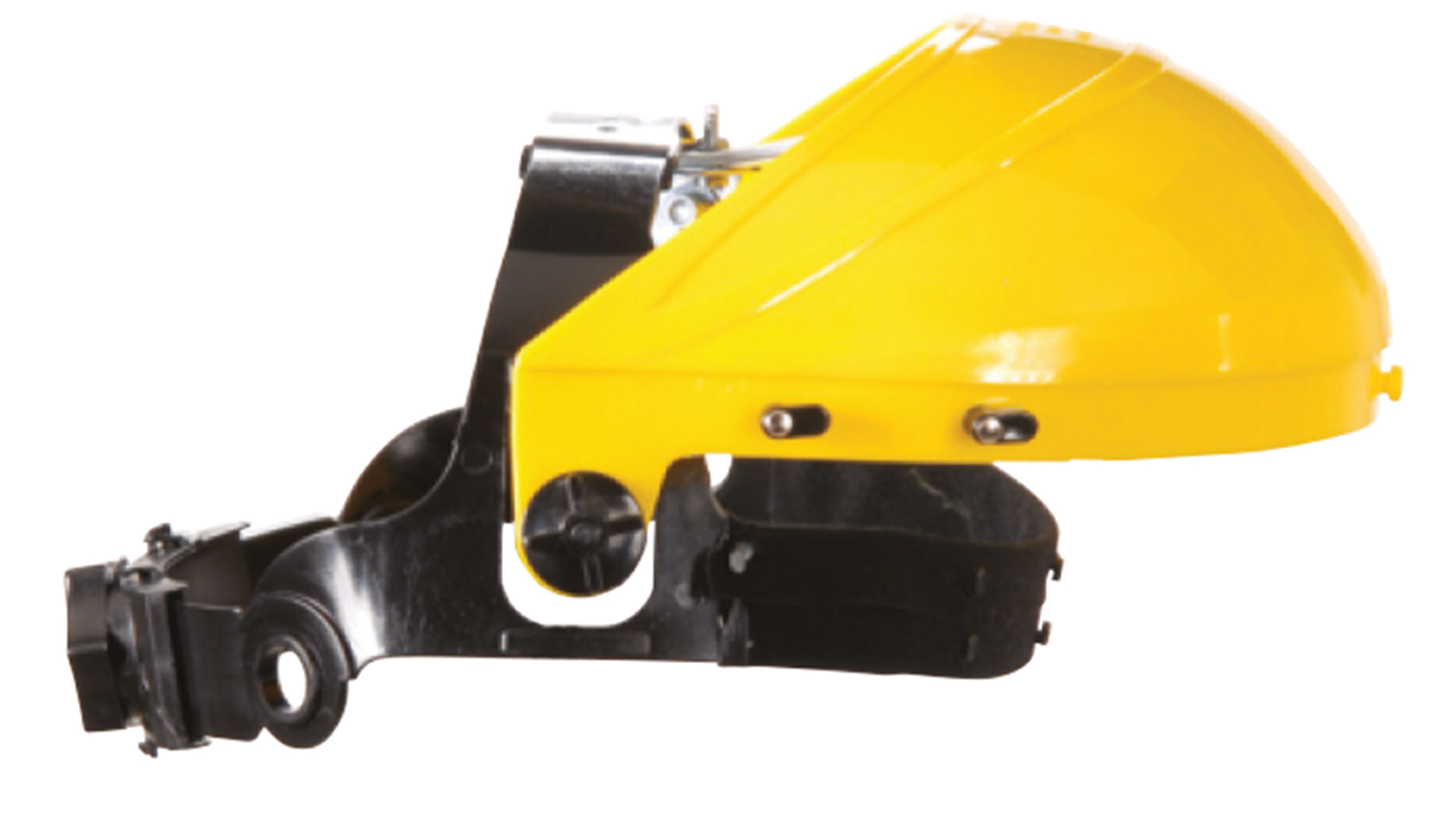 Sarı Alınlık Yedek